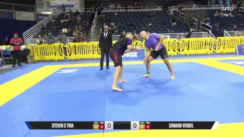 Edward Verdel vs Steven C Tria 2025 Pan IBJJF Jiu-Jitsu No-Gi Championship