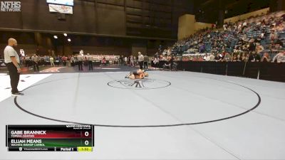 5A-157 lbs Quarterfinal - Gabe Brannick, Topeka-Seaman vs Elijah Means, Wichita-Bishop Carrol