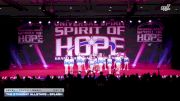 The Stingray Allstars - Splash [2026 L1 Youth - Small Day 2] 2026 Spirit of Hope Grand Nationals