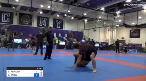 GABRIEL ALMEIDA vs Andrew Wiltse 2018 Pan Jiu-Jitsu IBJJF No Gi Championship