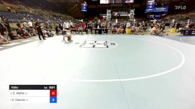 113 lbs Cons 8 #1 - Cole Welte, NE vs Eric Casula, OK