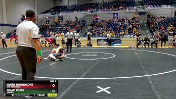 141 lbs Semifinal - Isham Peace, Lander vs Avery Buonocore, UNC Pembroke