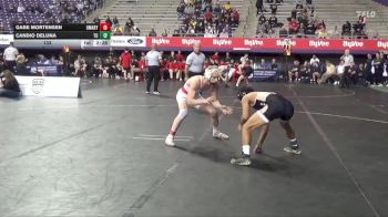 133 lbs Semis & 3rd Wb (16 Team) - Candio Deluna, Tiffin vs Gabe Mortensen, UMary