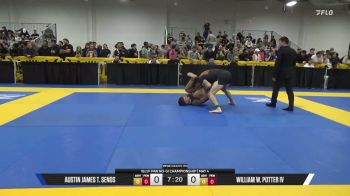 William W. Potter IV vs Austin James T. Senos 2026 Pan IBJJF Jiu-Jitsu No-Gi Championship