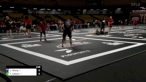 Lungto Wong vs Tadeu Lobato 2024 ADCC South American Trials 1