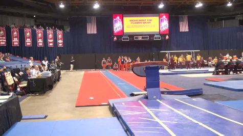 Alex Diab - Vault, Illinois