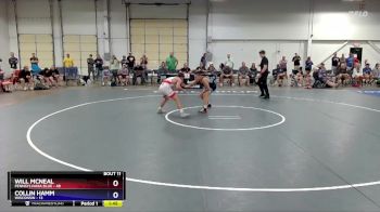 136 lbs Placement Matches (8 Team) - Will McNeal, Pennsylvania Blue vs Collin Hamm, Wisconsin