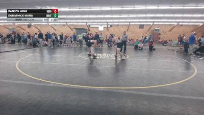 171 lbs Consolation - Patrick Wing, Hornell vs Domminick Mong, Montandon