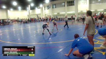 100 lbs Semis & Wb (16 Team) - Abigail Negley, Nebraska Widow Makers vs Aniah Delgado, Indiana Smackdown Girls