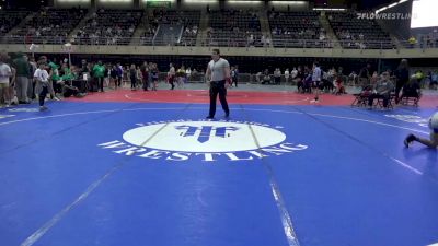 110 lbs Quarterfinal - Ben Viola, Chesapeake vs Andrew Kapec, Benton