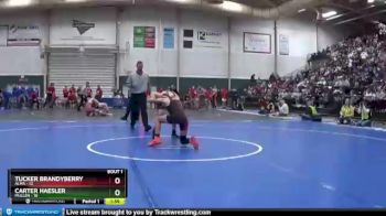 113 lbs Quarterfinals (8 Team) - Carter Haesler, Mullen vs Tucker Brandyberry, Alma