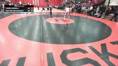 150 lbs Champ. Round 2 - Dmytro Patykovskyi, HOFFMAN ESTATES (HS) vs James Hemmila, Wilmette (LOYOLA)