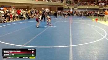 65 lbs 3rd Place Match - Kouper Beermann, Wabasso vs Sully Samp, Fergus Falls