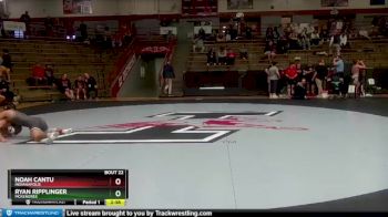 133 lbs Quarterfinal - Ryan Ripplinger, McKendree vs Noah Cantu, Indianapolis