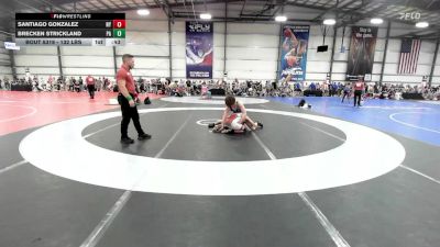 132 lbs Consi Of 32 #2 - Santiago Gonzalez, NY vs Brecken Strickland, PA