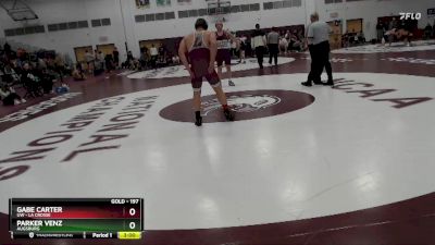 197 lbs Quarterfinal - Parker Venz, Augsburg vs Gabe Carter, UW - La Crosse