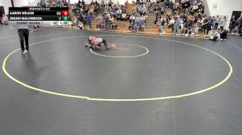 133 lbs Champ. Round 1 - Zimani Malomboza, Indiana Tech vs Aaron Wilson, Rochester