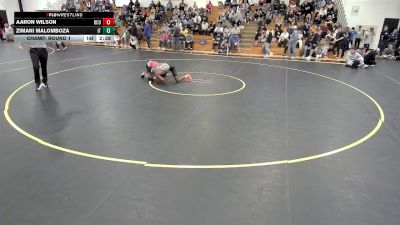 133 lbs Champ. Round 1 - Zimani Malomboza, Indiana Tech vs Aaron Wilson, Rochester
