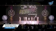 The Vision Dance Center - Junior Small Jazz [2025 Junior - Jazz Day 2] 2025 GROOVE Dance Grand Nationals