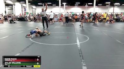 44 lbs Round 3 (6 Team) - Dylan Williams, OMP vs David Pucci, Streaks WC