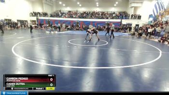 145 lbs Champ. Round 2 - Caden Dutra, Lake City vs Camron Pedigo, Mountain Home