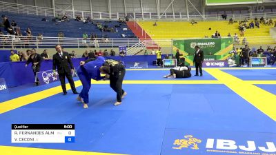 RAUL FERNANDES ALMEIDA vs VINICIUS CECONI 2024 Brasileiro Jiu-Jitsu IBJJF