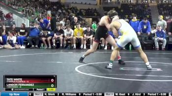 182 lbs Semis - Landon Fernandez, 1-Don Bosco vs Tate White, 4-Nashua-Plainfield