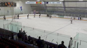 Replay: Home - 2024 Airdrie Xtreme vs Hawks | Dec 22 @ 11 AM