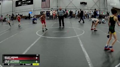 64 lbs Placement (4 Team) - Ryley Herwig, Warhawks vs Cruz Astorino, Revival Uprising Black