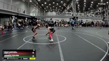 88 lbs Round 7 (8 Team) - Andrew Dolson, Brawler Elite vs Crue Hatchell, PTRTC