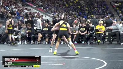 138 lbs Semis - Eli Cox, Indianola vs Cody Trevino, Bettendorf