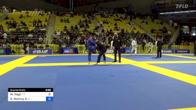 Michael Hagl vs GILBERTO MONROY AGUAS 2024 Master International IBJJF Jiu-Jitsu North American Championship