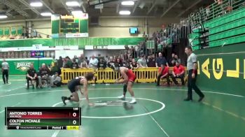 138 lbs Champ. Round 2 - Antonio Torres, WAUSEON vs Colton Mchale, LEBANON