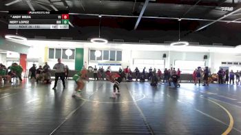 132 lbs Champ. Round 1 - Nery Lopez, Burroughs vs Andy Mejia, Valley View