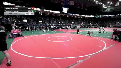 80 lbs Cons. Round 2 - Barrett Braun, WEWA vs Parker White, PROA