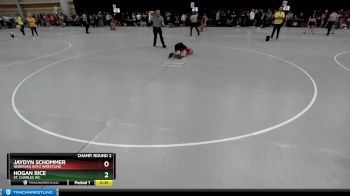 83 lbs Champ. Round 2 - Hogan Rice, St. Charles WC vs Jaydyn Schommer, Nebraska Boyz Wrestling