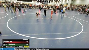 63 lbs Champ. Round 1 - Lucas Bush, IL vs Nathan Nelson, MN