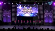 Dance Dynamics - Junior Elite Small Pom [2025 Junior - Pom - Small Day 1] 2025 JAMfest Dance Super Nationals