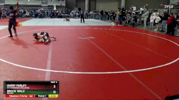 55 lbs Cons. Semi - Avery Farley, W-K (Wabasha/Kellogg) vs Brock Walz, Rocori