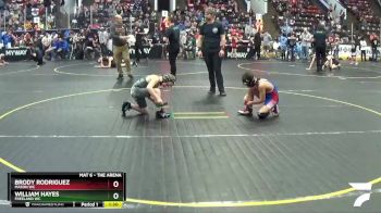 78 lbs Cons. Round 1 - William Hayes, Freeland WC vs Brody Rodriguez, Mason WC