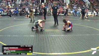 78 lbs Cons. Round 1 - William Hayes, Freeland WC vs Brody Rodriguez, Mason WC