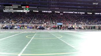 D1-132 lbs Quarterfinal - Wyatt Lees, Detroit Catholic Central vs Logan Welmerink, Rockford