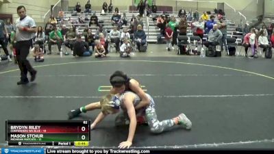 82 lbs Quarterfinals (8 Team) - Mason Stchur, Michigan Matcats vs Brydyn Riley, Contenders WA Blue