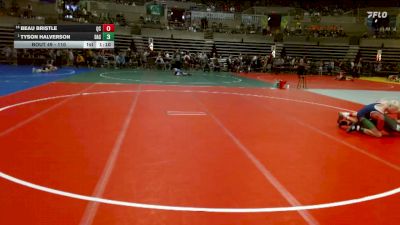 110 lbs Champ. Round 1 - Tyson Halverson, Dassel-Cokato-Litchfield vs Beau Bristle, Quad County