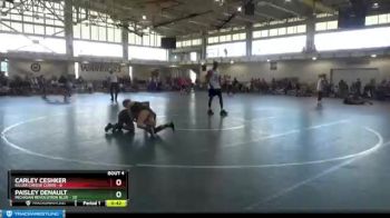 117 lbs Round 2 (4 Team) - Paisley Denault, Michigan Revolution Blue vs Carley Ceshker, Killer Cheese Curds