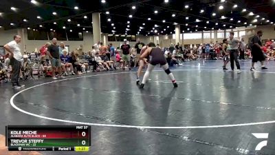 170 lbs Round 7 (8 Team) - Trevor Steffy, Blackman WC vs Kole Meche, Alabama Elite Black