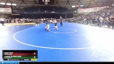 215 lbs Cons. Round 1 - Liam Taft, Washington vs Logan Bjorklund, Washington