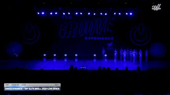 Dance Dynamics - Tiny Elite Small Jazz-Love Shack [2026 Tiny - Premier - Jazz Day 1] 2026 GROOVE Dance Grand Nationals