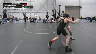 95 lbs Round 1 (4 Team) - Timofiy Nalivayko, Warhawks vs Michael Mendick, Revival 1