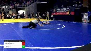 45 lbs Quarterfinal - Wesley Hoefling, Iowa Elite vs Thomas Reis, Waterloo Bulldogs Wrestling Club